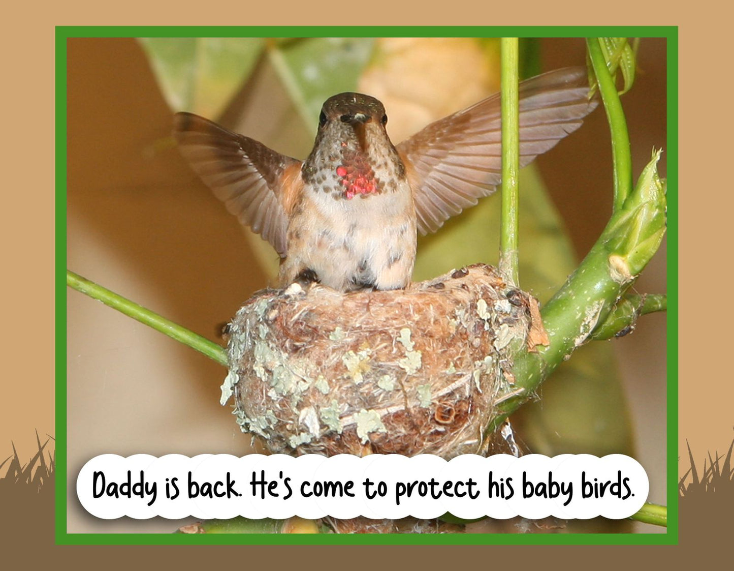 "Welcome, Baby Hummingbirds" Children's Nature Book